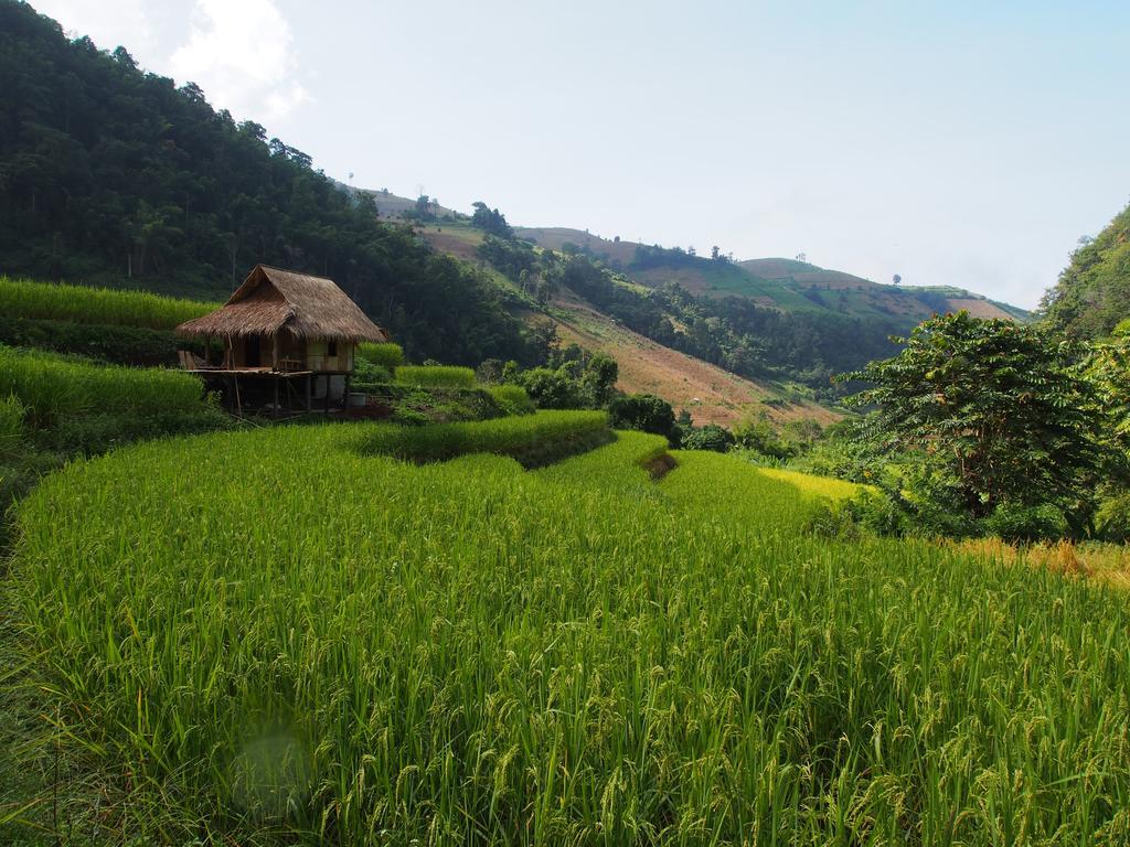Kowitfarmstay Ban Mae Pan Noi Exterior photo