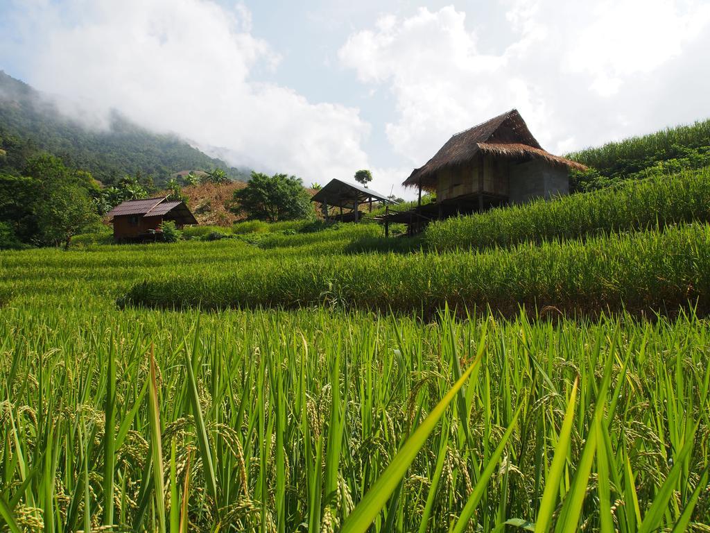 Kowitfarmstay Ban Mae Pan Noi Exterior photo