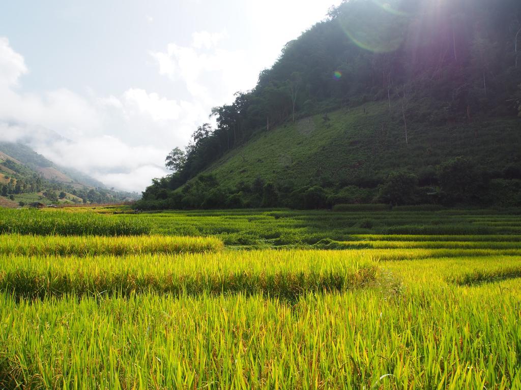 Kowitfarmstay Ban Mae Pan Noi Exterior photo