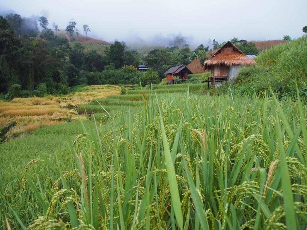 Kowitfarmstay Ban Mae Pan Noi Exterior photo