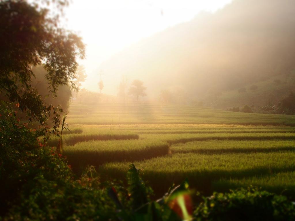 Kowitfarmstay Ban Mae Pan Noi Exterior photo