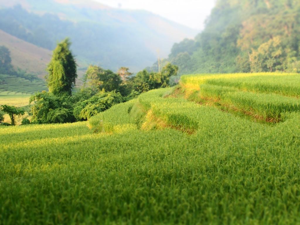 Kowitfarmstay Ban Mae Pan Noi Exterior photo