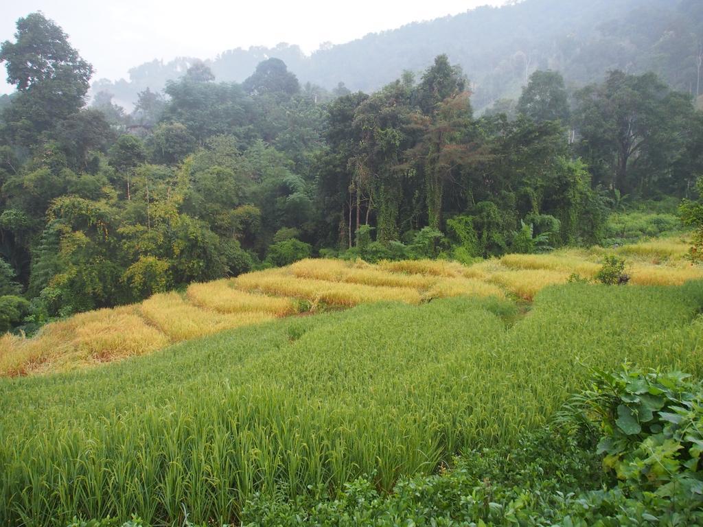 Kowitfarmstay Ban Mae Pan Noi Exterior photo