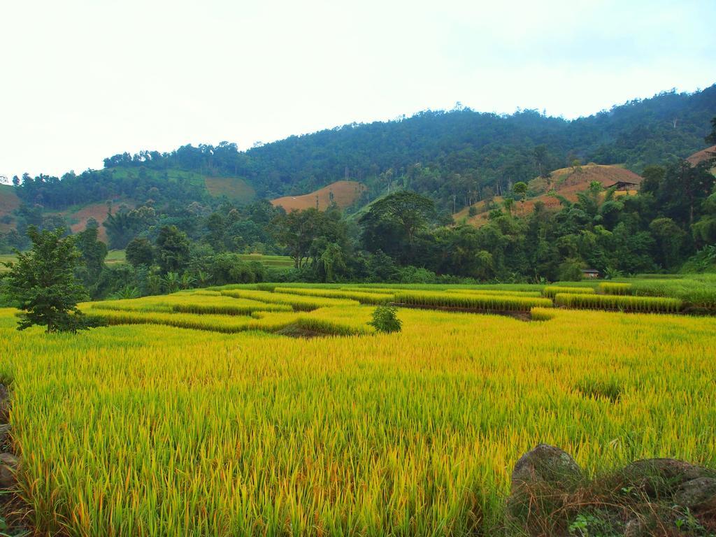 Kowitfarmstay Ban Mae Pan Noi Exterior photo