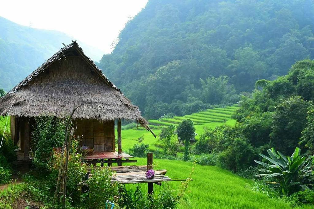 Kowitfarmstay Ban Mae Pan Noi Exterior photo
