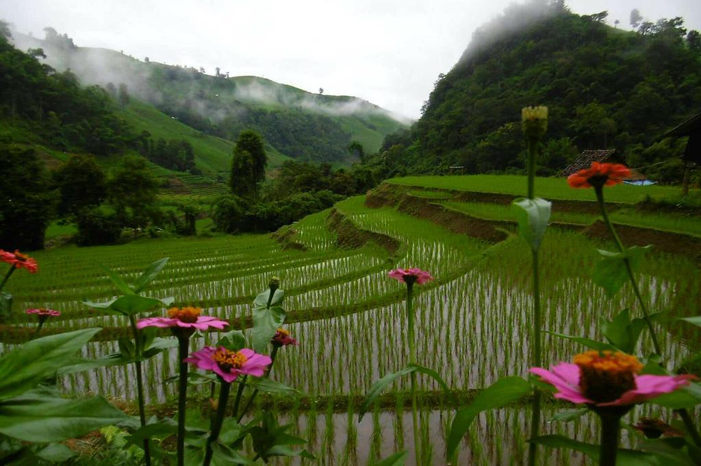 Kowitfarmstay Ban Mae Pan Noi Exterior photo